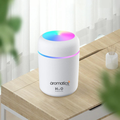 H20 Humidifier